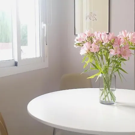 Modern Townhouse In Torrevieja, Costa Blanca Torrevieja